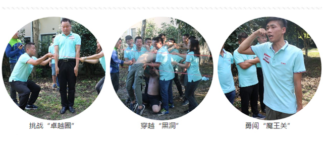 未标题-3 副本.JPG